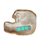 Reza the Cat  (Chinese Version)（個別スタンプ：3）