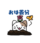 仮想通貨大好きネコ（個別スタンプ：1）