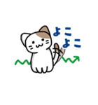 仮想通貨大好きネコ（個別スタンプ：5）