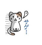 仮想通貨大好きネコ（個別スタンプ：6）
