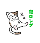 仮想通貨大好きネコ（個別スタンプ：9）