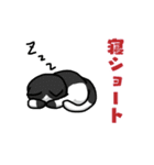 仮想通貨大好きネコ（個別スタンプ：10）