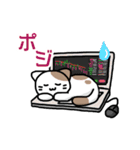 仮想通貨大好きネコ（個別スタンプ：12）