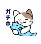 仮想通貨大好きネコ（個別スタンプ：13）