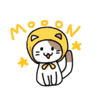仮想通貨大好きネコ（個別スタンプ：14）