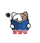 仮想通貨大好きネコ（個別スタンプ：18）