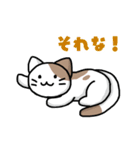 仮想通貨大好きネコ（個別スタンプ：20）