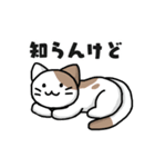 仮想通貨大好きネコ（個別スタンプ：21）