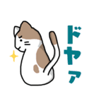 仮想通貨大好きネコ（個別スタンプ：22）