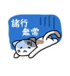 仮想通貨大好きネコ（個別スタンプ：24）