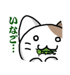 仮想通貨大好きネコ（個別スタンプ：25）