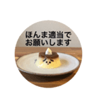 おねがいプルさんのゆるくいこうや！（個別スタンプ：25）