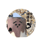 おねがいプルさんのゆるくいこうや！（個別スタンプ：26）