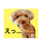 わんこのボヤキ（個別スタンプ：1）