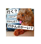 わんこのボヤキ（個別スタンプ：7）