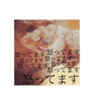 わんこのボヤキ（個別スタンプ：13）