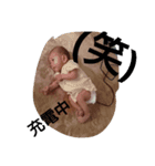 我が子ブスタンプ2（個別スタンプ：5）