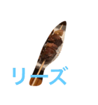 だれがつかうん（個別スタンプ：3）
