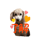 cute dogss（個別スタンプ：3）