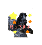 cute dogss（個別スタンプ：4）