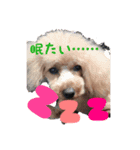cute dogss（個別スタンプ：5）