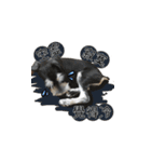 The Life of schnauzer girl mei（個別スタンプ：33）
