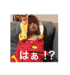 れんちぇる（個別スタンプ：15）