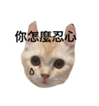 Gee Life（個別スタンプ：1）