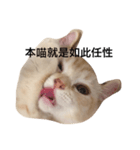 Gee Life（個別スタンプ：2）