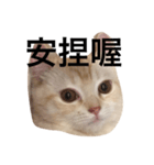 Gee Life（個別スタンプ：3）
