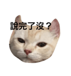 Gee Life（個別スタンプ：4）