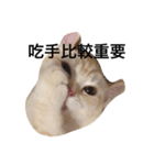 Gee Life（個別スタンプ：5）