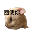 Gee Life（個別スタンプ：6）