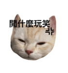 Gee Life（個別スタンプ：7）