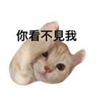 Gee Life（個別スタンプ：8）