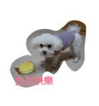 Cute Mar Ni（個別スタンプ：9）