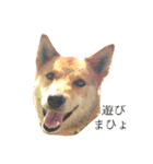 ちょこさんぽ（個別スタンプ：18）