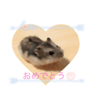 ミルキー、ルナ、ひま、そしてお友達（個別スタンプ：4）