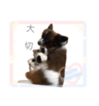 ミルキー、ルナ、ひま、そしてお友達（個別スタンプ：6）