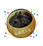 ミルキー、ルナ、ひま、そしてお友達（個別スタンプ：16）