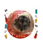 ミルキー、ルナ、ひま、そしてお友達（個別スタンプ：17）