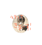 にゃんちぃの！（個別スタンプ：7）