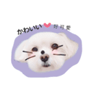 BuBu's Lifestyle（個別スタンプ：1）
