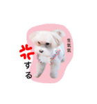 BuBu's Lifestyle（個別スタンプ：3）