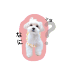 BuBu's Lifestyle（個別スタンプ：6）