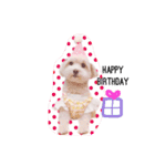 BuBu's Lifestyle（個別スタンプ：7）