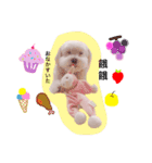 BuBu's Lifestyle（個別スタンプ：9）