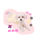 BuBu's Lifestyle（個別スタンプ：10）