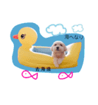 BuBu's Lifestyle（個別スタンプ：14）