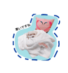 BuBu's Lifestyle（個別スタンプ：15）